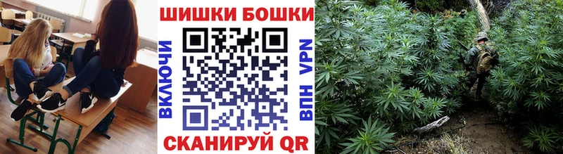 Конопля индика  Ворсма 